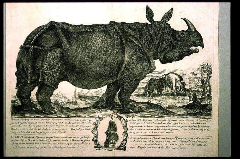 Clara 1748 Stuttgart