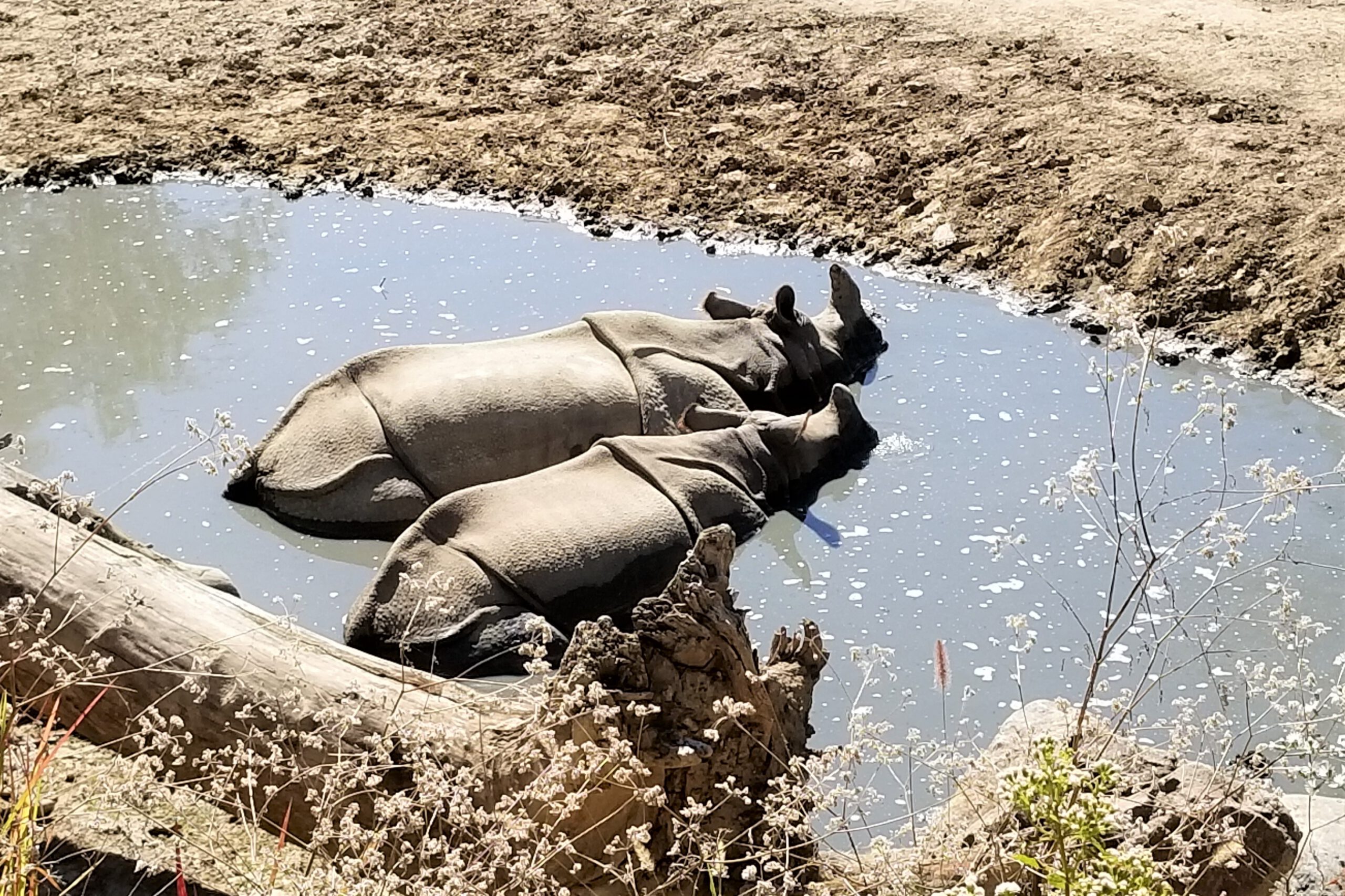 Marshall and mother Hellary at the Henry Doorly Zoo, Omaha