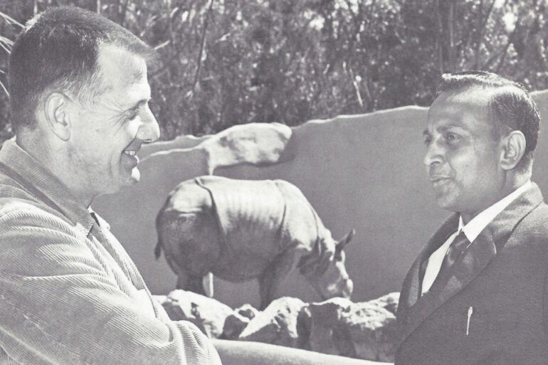 Indian rhinoceros ‘Jaypuri’ at San Diego Zoo