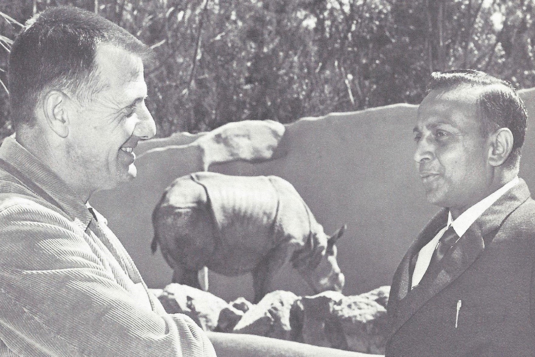 Indian rhinoceros ‘Jaypuri’ at San Diego Zoo