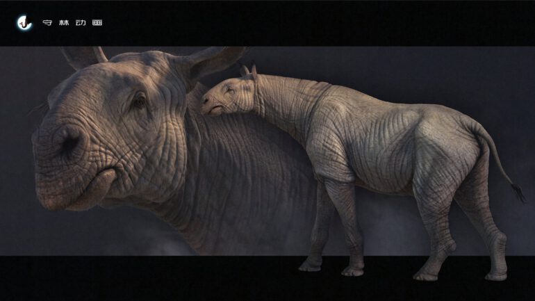 Paraceratherium (an attempt of reconstruction)