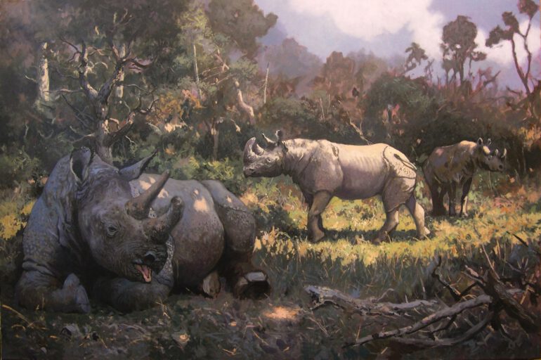 Three black rhinoceroses in nature