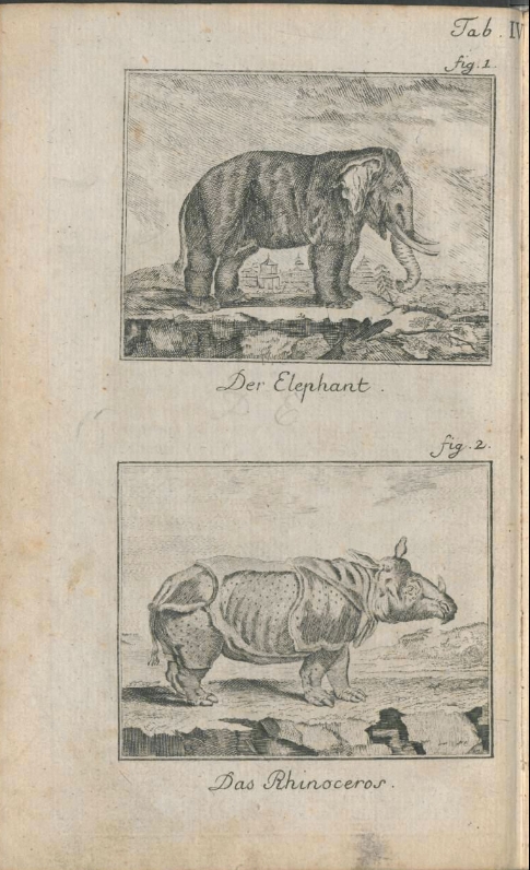 Buesching 1789 Rhino and Elephant