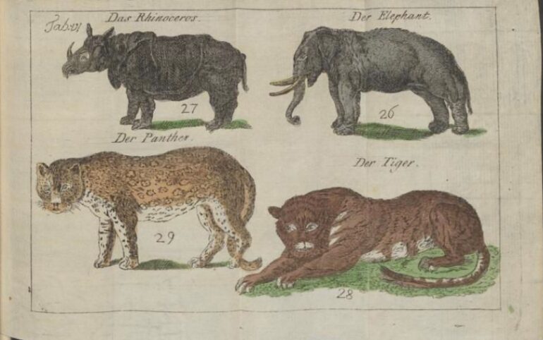 Kluegel 1792 Four mammals