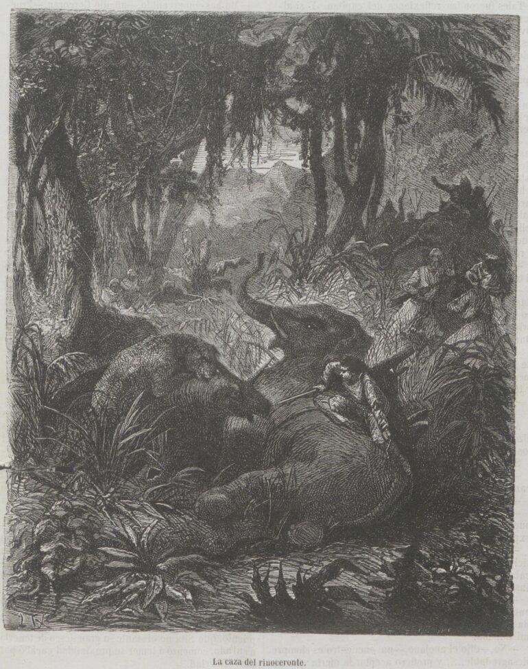 Assollant 1875 La Caza