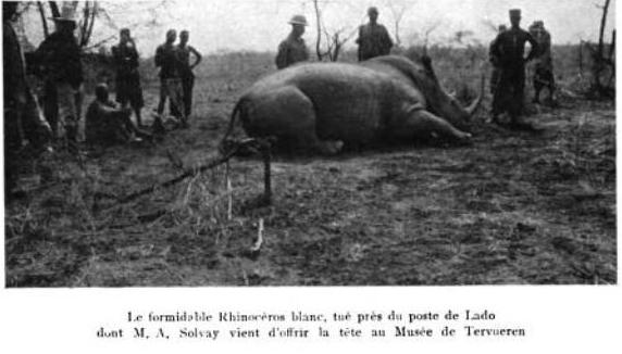 Solvay rhino at Lado