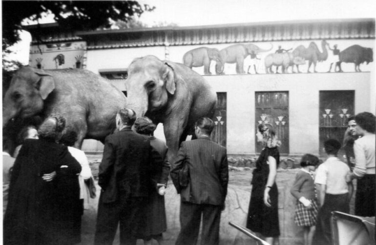Antwerp Elephant Temple