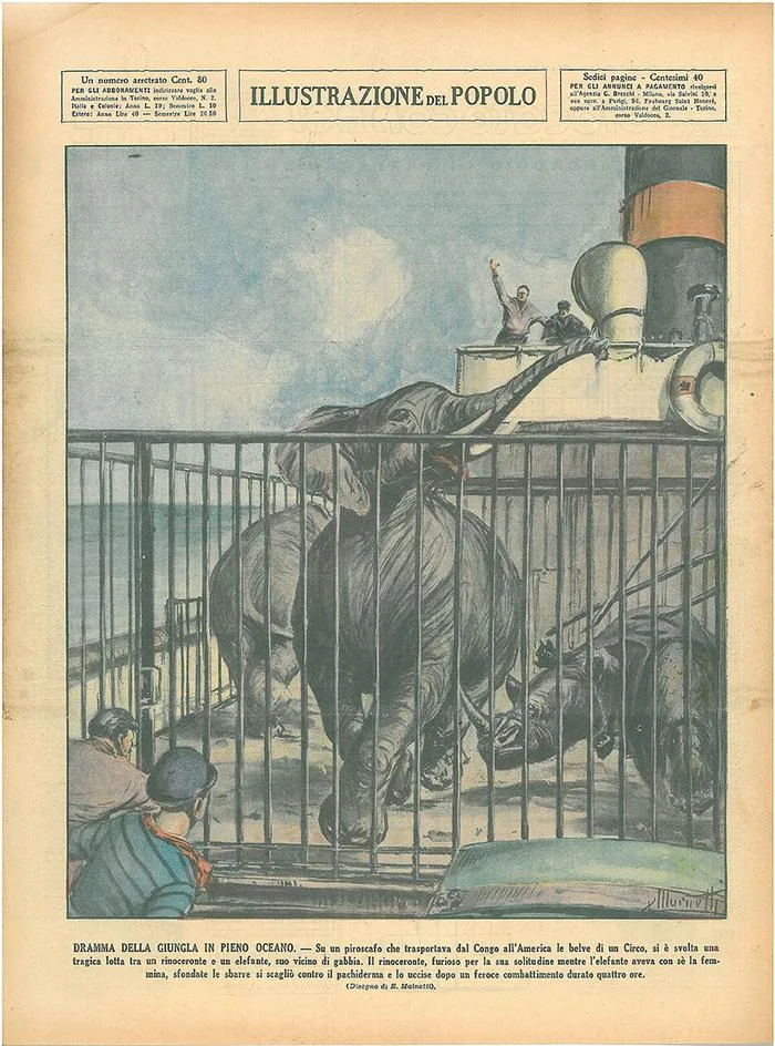 Molnetti 1936 Drama