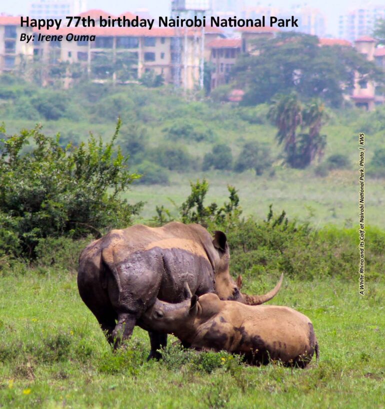 Nairobi National Park