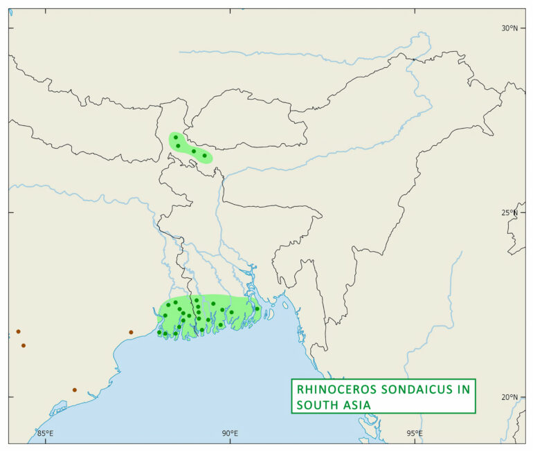 Historical distribution of Rhinoceros sondaicus in South Asia