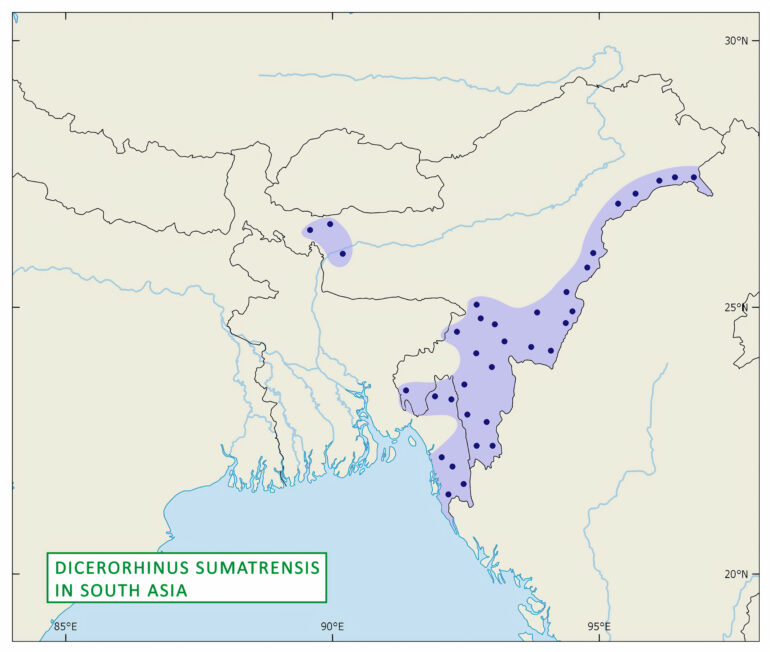 Historical distribution of Dicerorhinus sumatrensis in South Asia