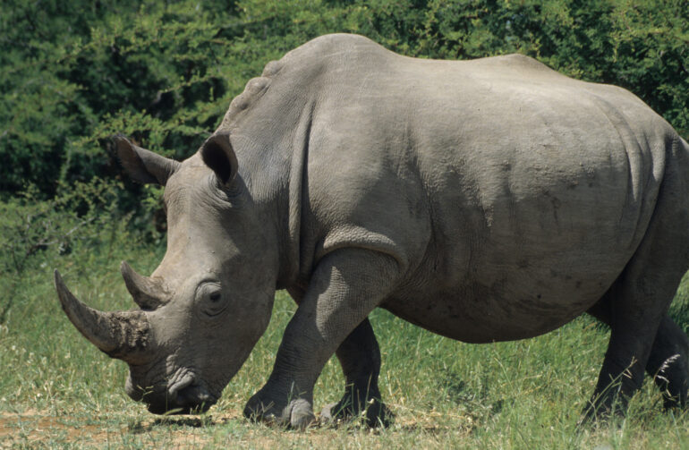 ZA 00 02 PD Dollinger 22 10 2025 fourth