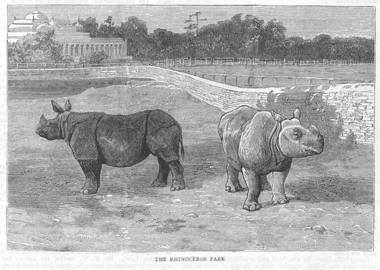 Darbangha Rhinoceros Park