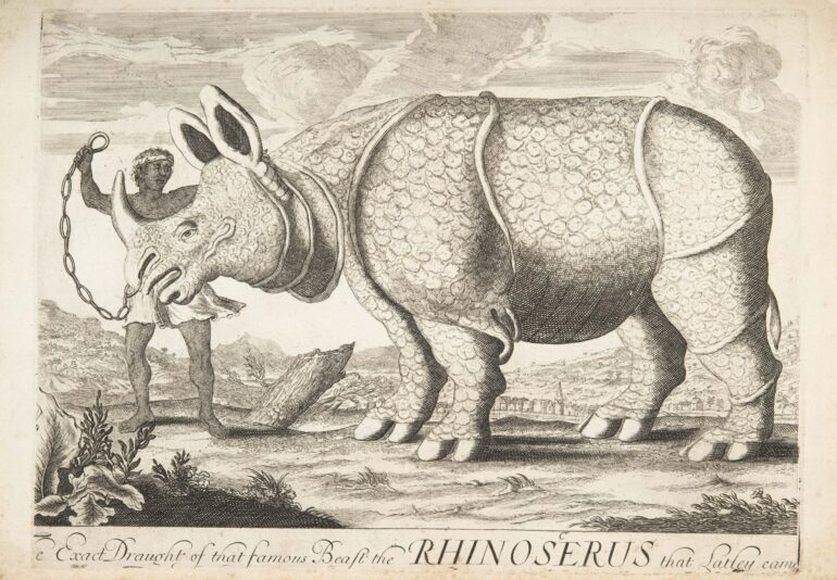 that famous Beast the Rhinoserus 1684