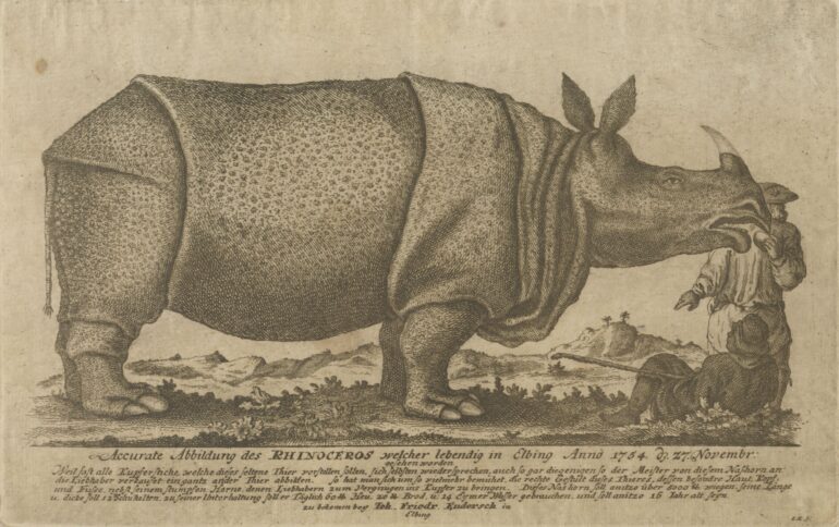 Clara in Elblag 1754