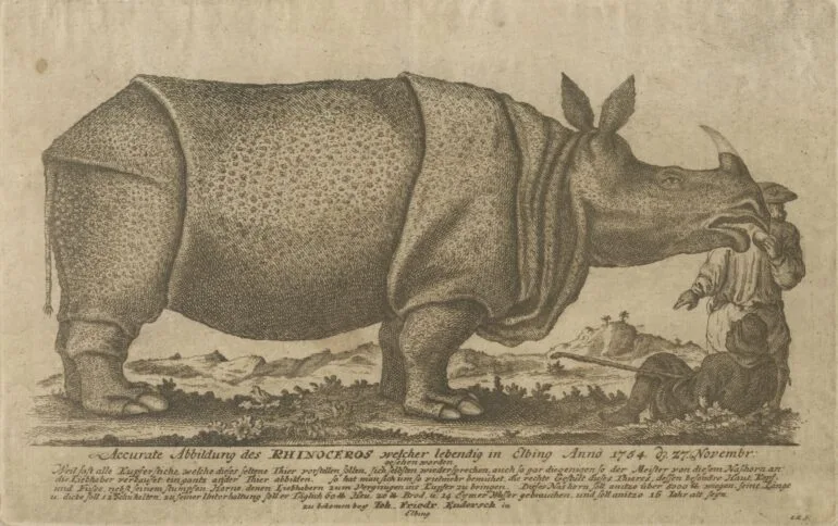 Clara in Elblag 1754