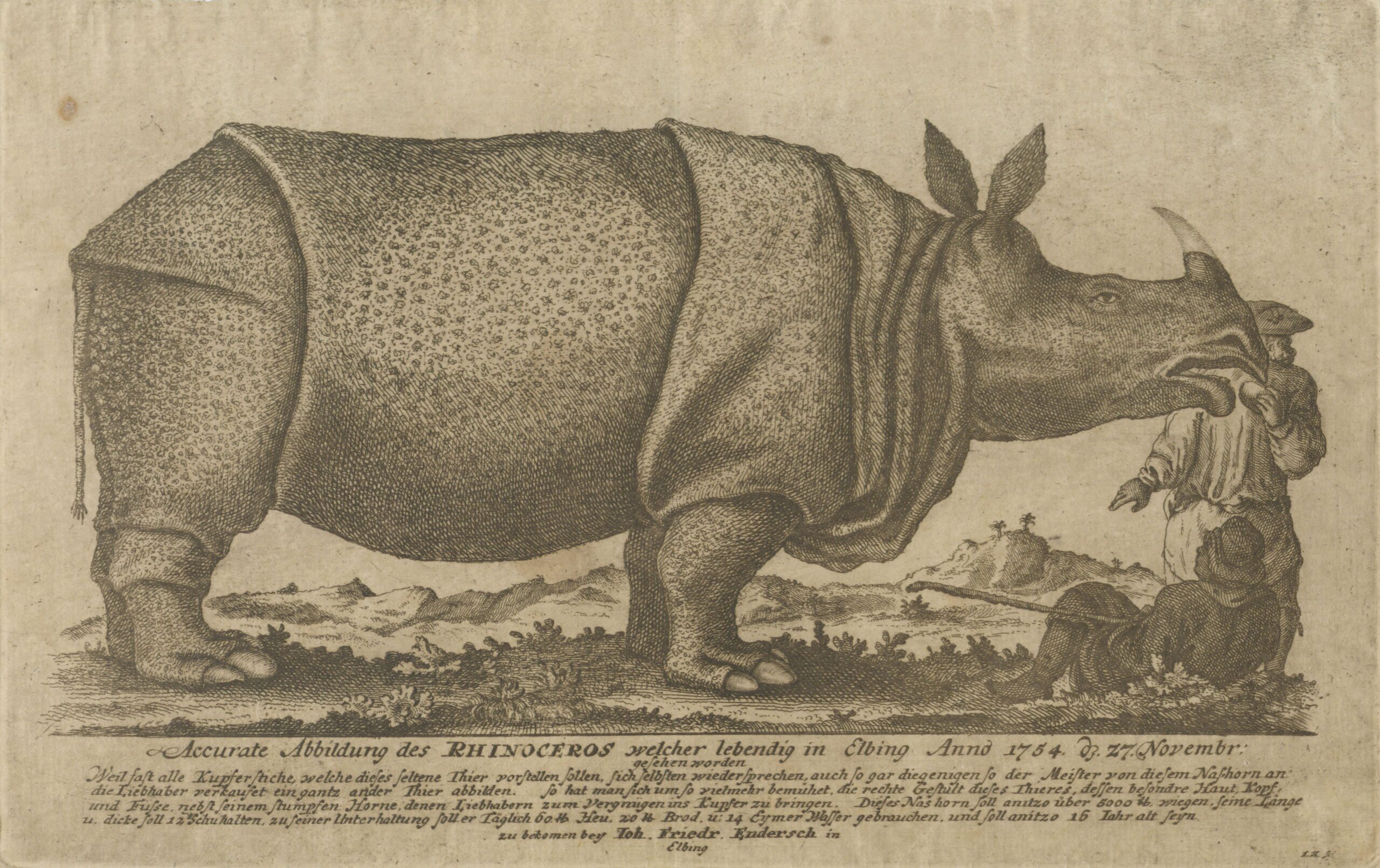 Clara in Elblag 1754