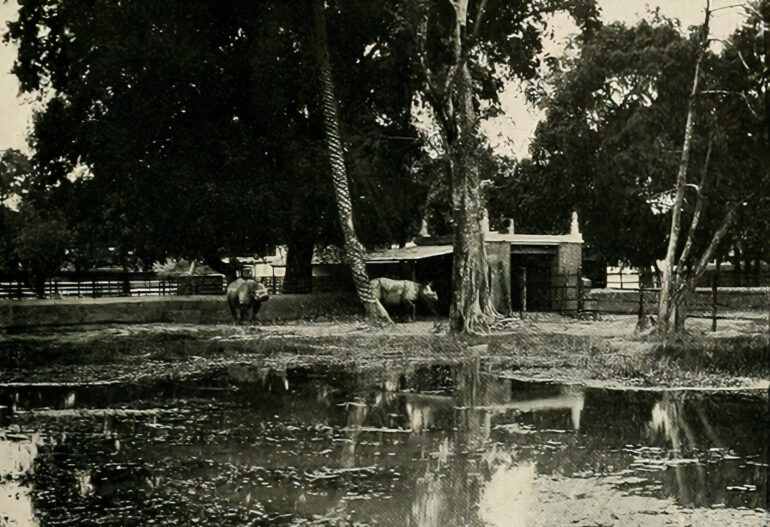 Alipore 1910