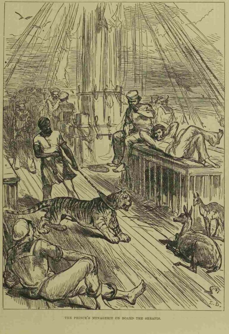 Menagerie on ship from the East