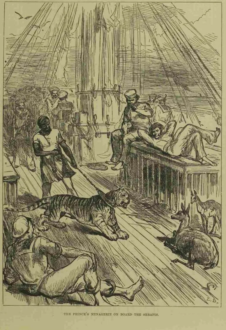 Menagerie on ship from the East