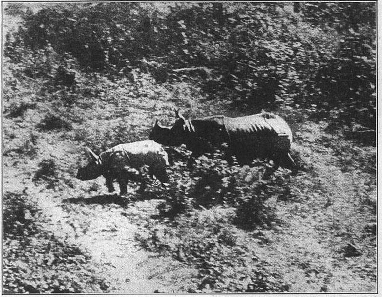 Faunthorpe in Nepal 1923 Times