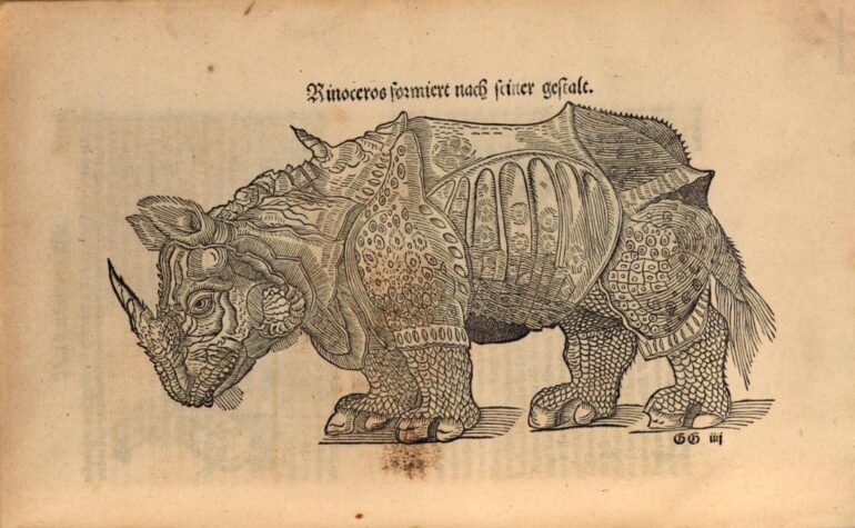 Munster 1544 Cosmographia