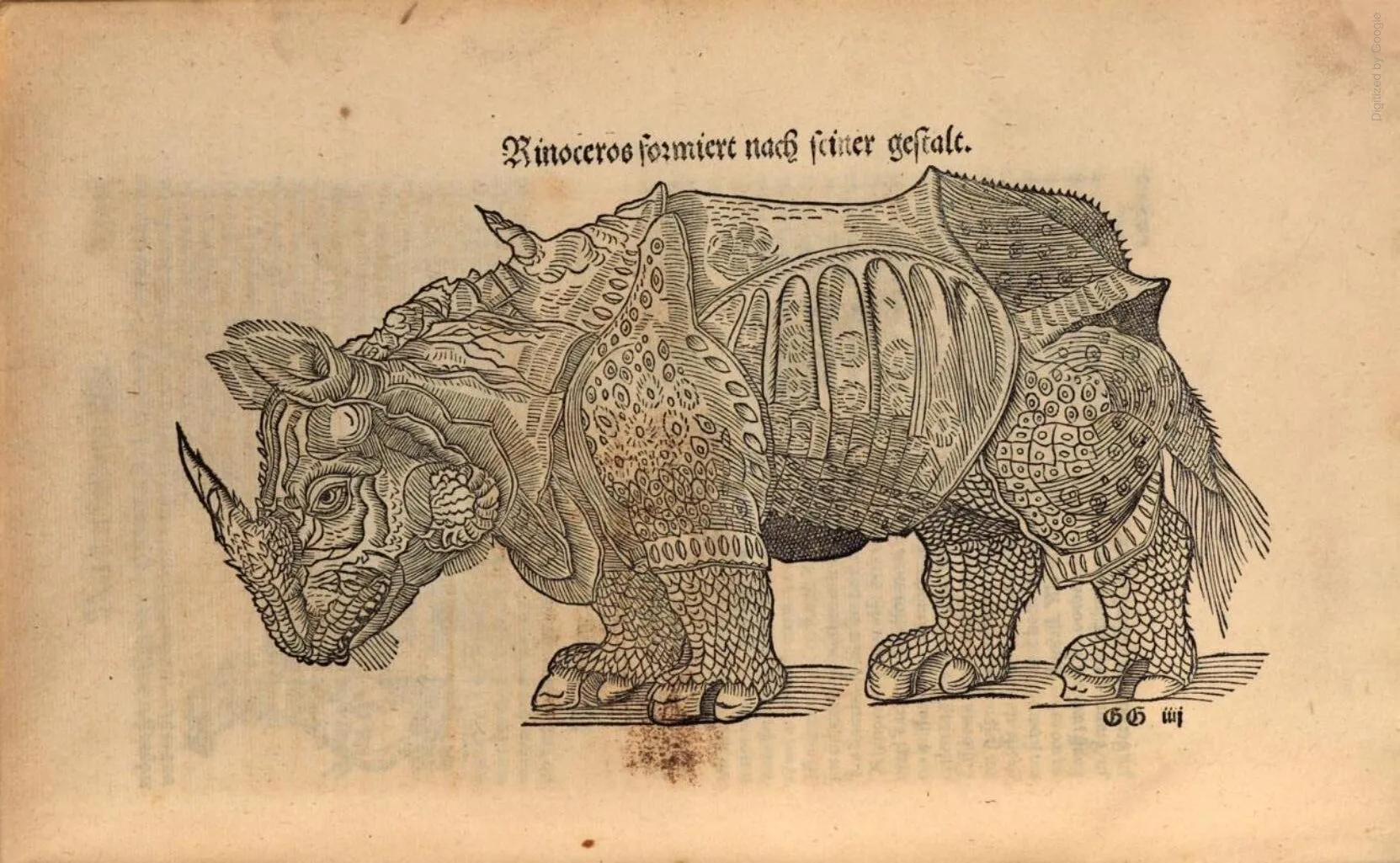 Munster 1544 Cosmographia