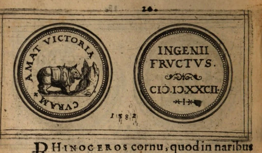 Hulsius 1602 Galle rhino