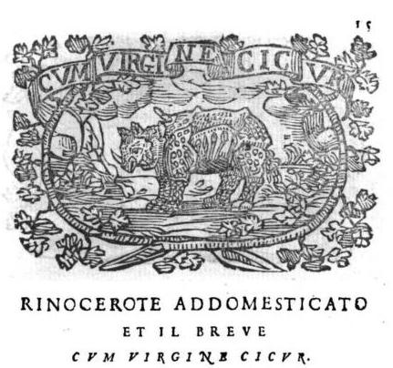 Lucarini 1628 Rinocerote