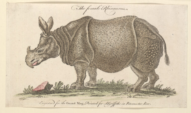 Edwards 1752 London handwritten text