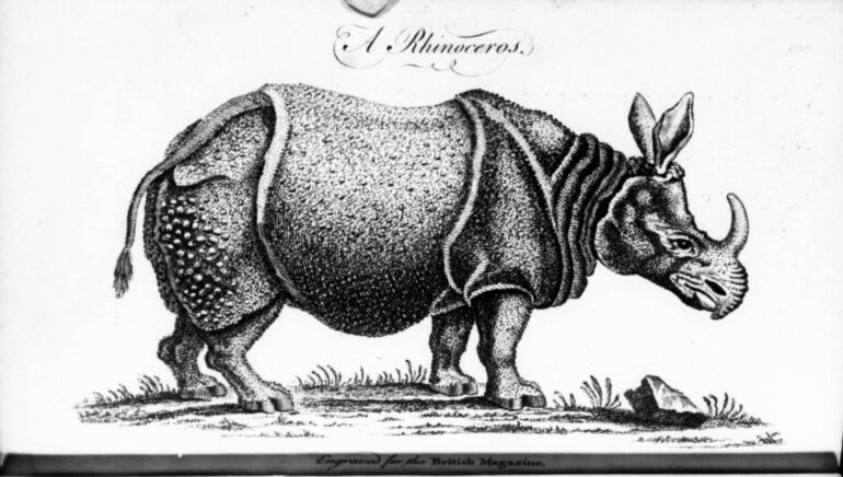 Edwards 1761 British Magazine