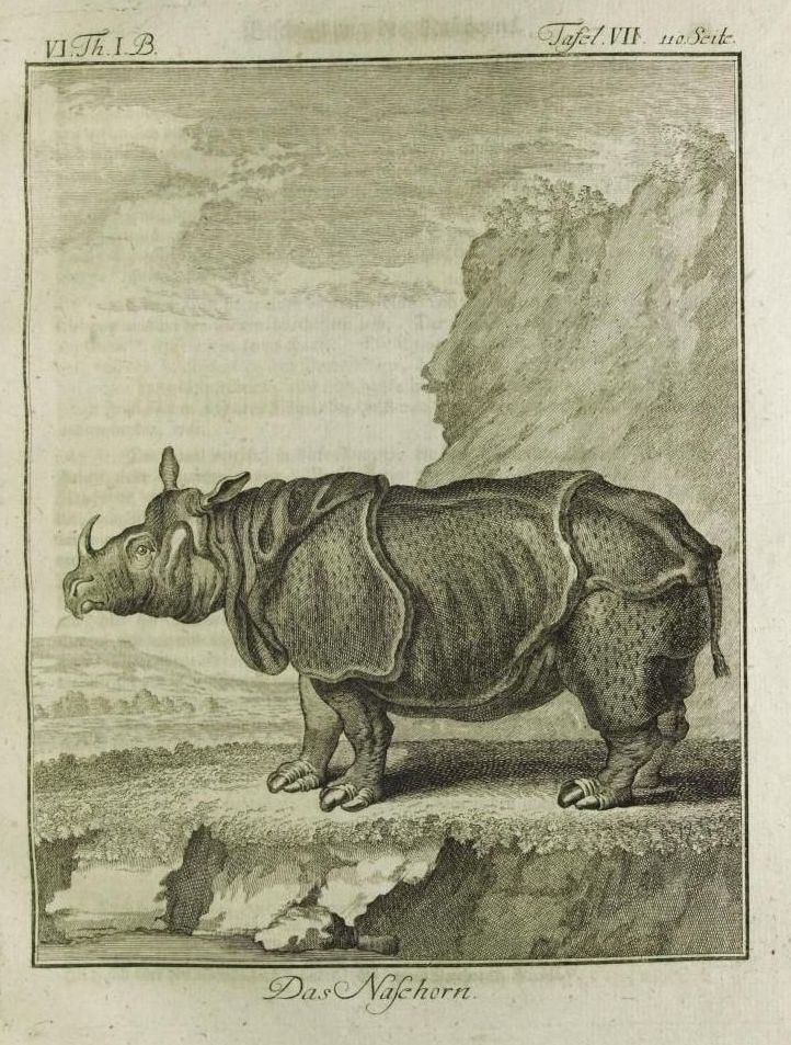 Buffon 1767 German edition