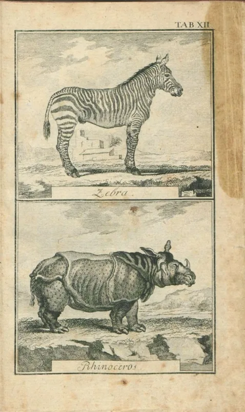 Ebert 1776 Naturlehre