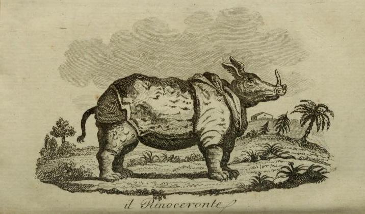 Thomas Smith 1826 Rinoceronte