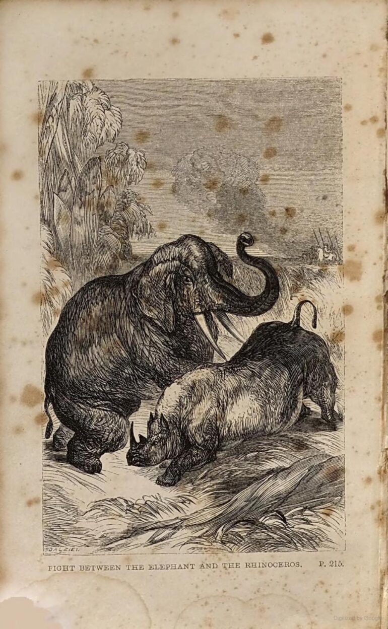 Jauffret 1852 Travels Rolando