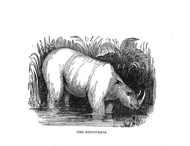 Peep at the beasts 1852