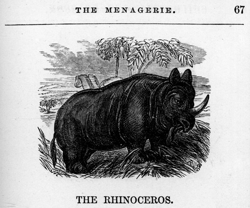 Children’s picture book 1862