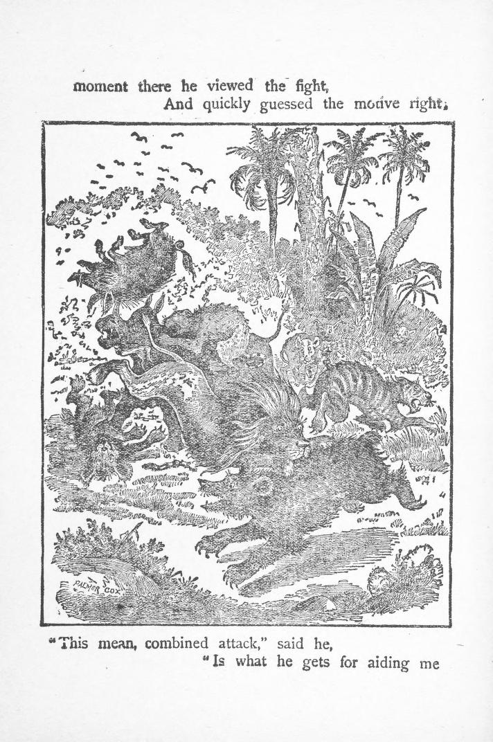 Cox 1890 Funny animals