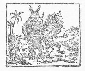 Cox 1890 Rhino and Lion