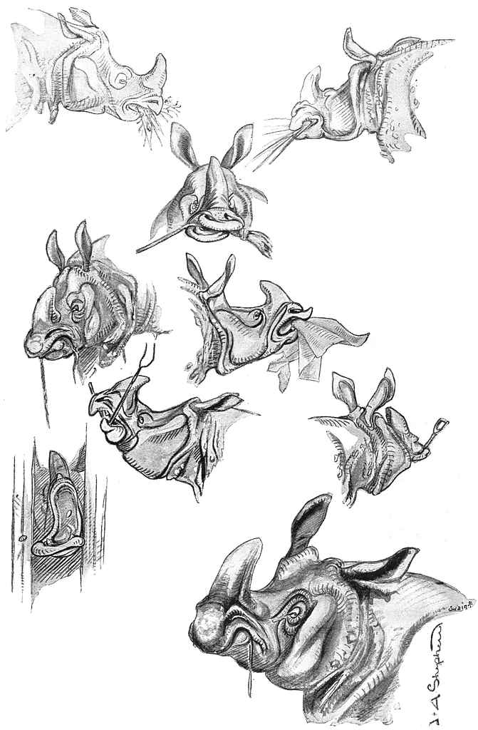 Shepherd 1893 Zig Zag