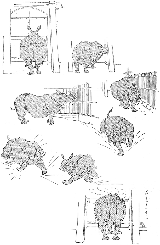 Shepherd Zig-Zag in London