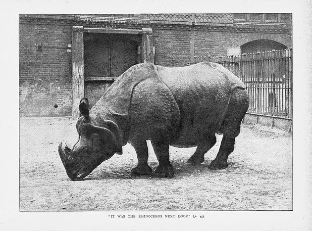 London Zoo 1900