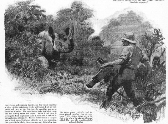 Akeley hunting black rhino