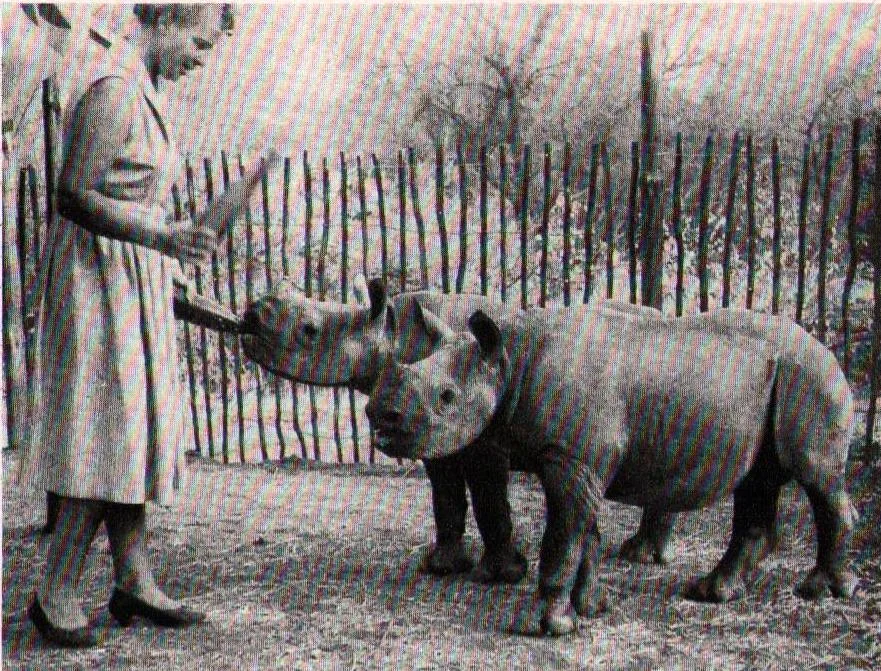 Schulz 1958 Namibia