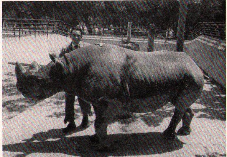 Lisbon 1955 from Angola