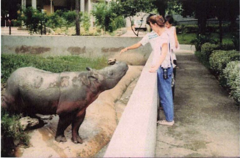 Melintang in Bangkok 1986