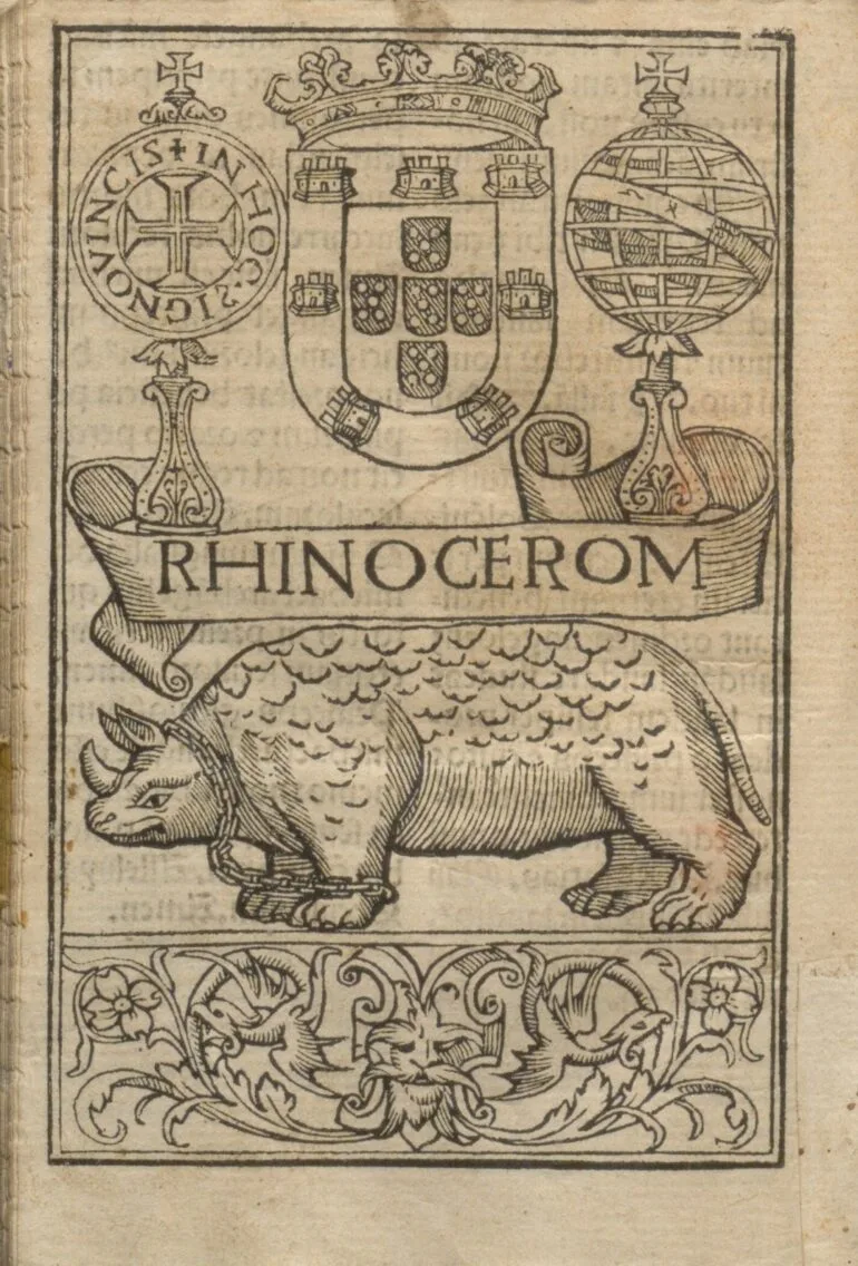Galharde 1544 Rhinocerom