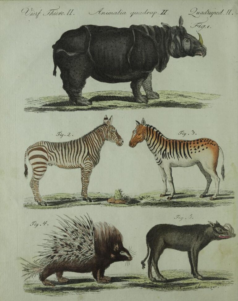 Bertuch 1790 Bilderbuch