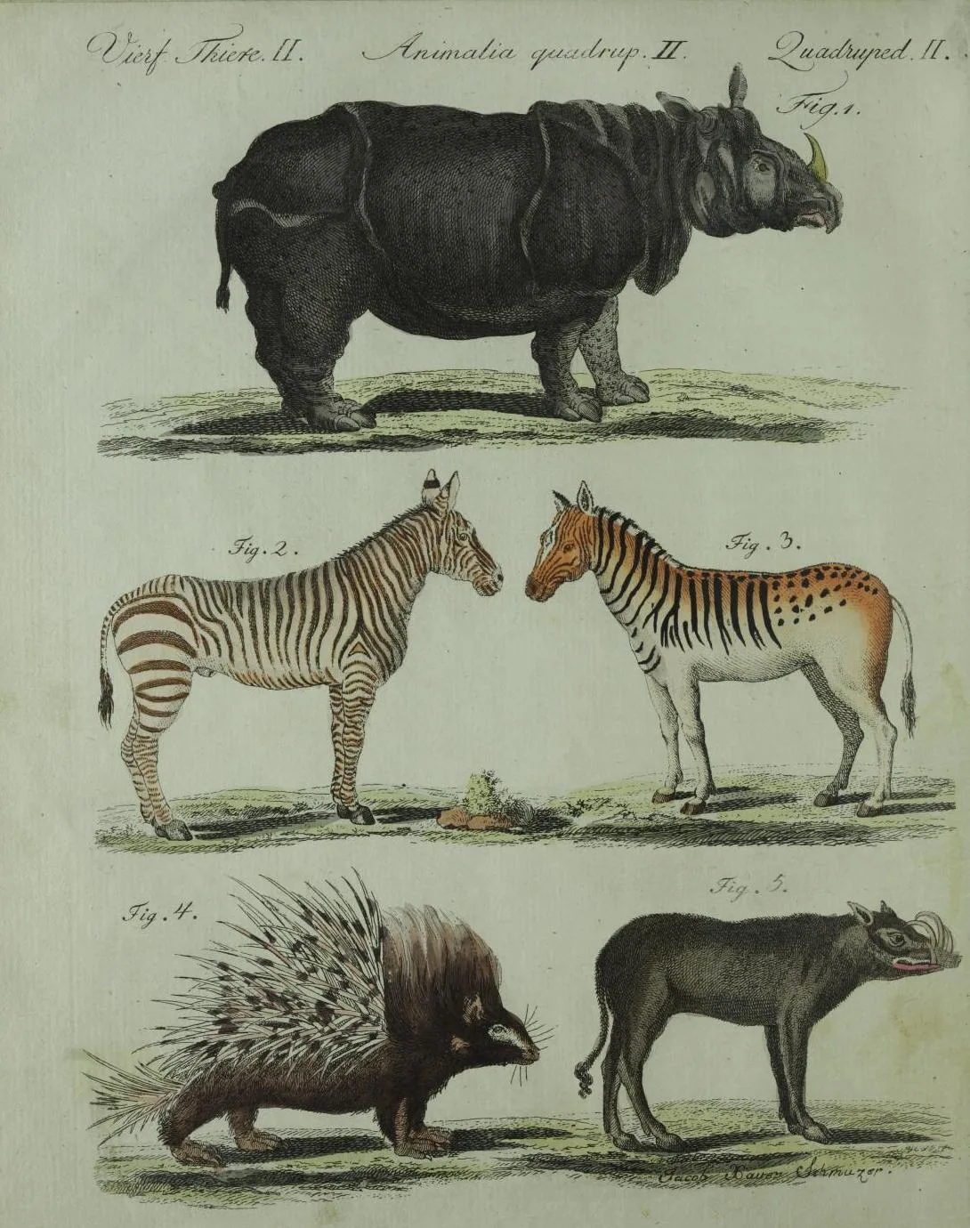 Bertuch 1790 Bilderbuch