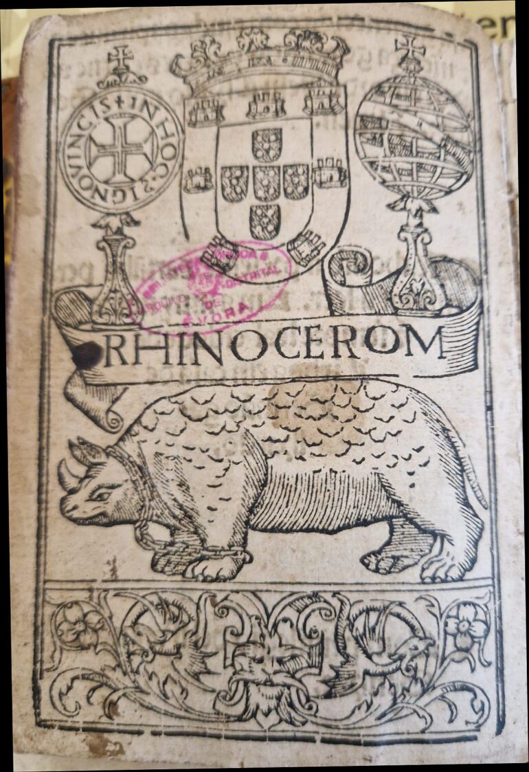 Rhinocerom 1537 Cartinhas